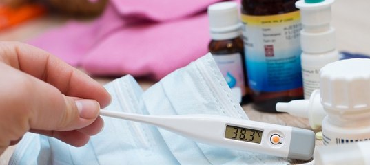 Российские ученые прогнозируют рост смертности от гриппа в предстоящем эпидсезоне